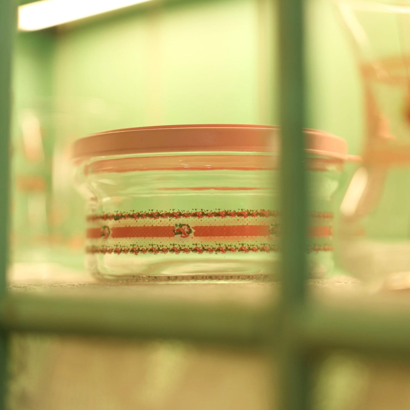 food storage container